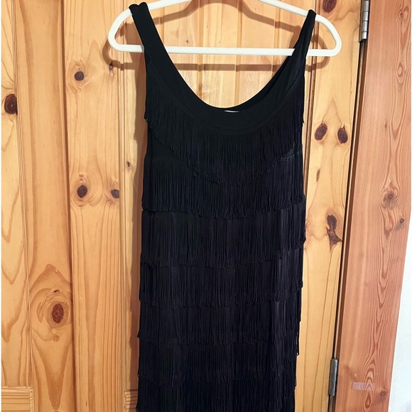 Roaring 20s fringed flapper dress! - Picture 1 of 7